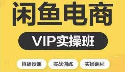 闲鱼副业项目月入过万进阶课程,教你掌握闲鱼电商所需的各项技能-网创资源大全