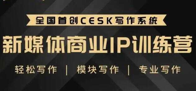 自媒体运营培训课程，新媒体商业IP训练营，轻松写作赚钱-网创资源大全