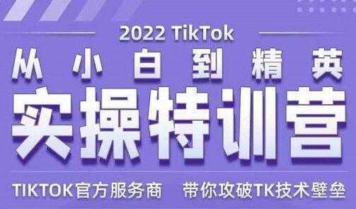Seven漆《Tiktok从小白到精英实操特训营》带你掌握Tiktok账号运营-网创资源大全