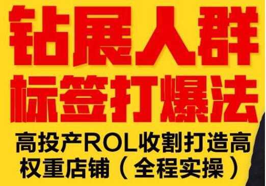 逐鹿《淘宝钻展人群标签打爆法》高投产ROL收割打造高权重店铺(全程实操)-网创资源大全