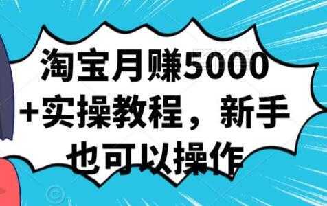 淘宝月赚5000+实操教程，新手也可以操作-网创资源大全