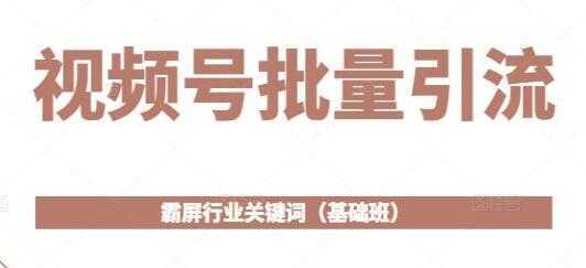 《视频号批量引流》霸屏行业关键词玩法(基础班)-网创资源大全