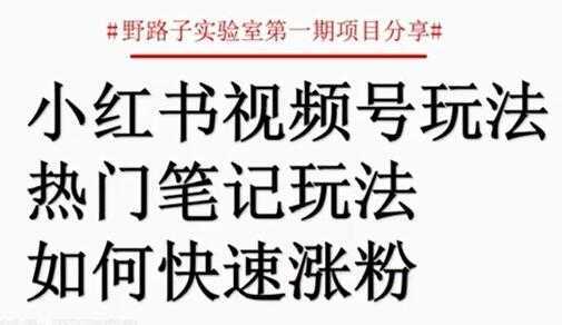 小红书视频号项目,直接上手操作,月入过万-网创资源大全