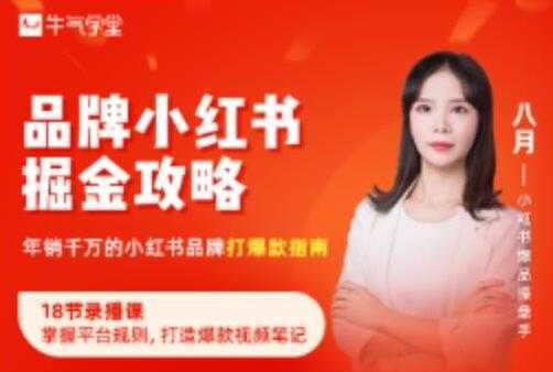 《品牌小红书掘金攻略》年销千万的小红书品牌打爆款指南-网创资源大全