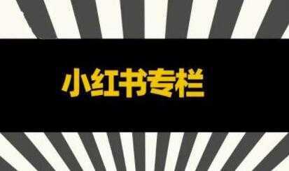 品牌医生《小红书全链营销干货》5个起盘案例，营销策略规划，避坑指南-网创资源大全