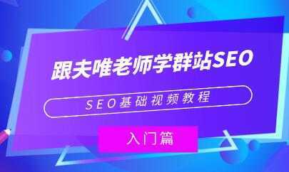 夫唯《群站seo优化教程视频》SEO基础视频教程-网创资源大全
