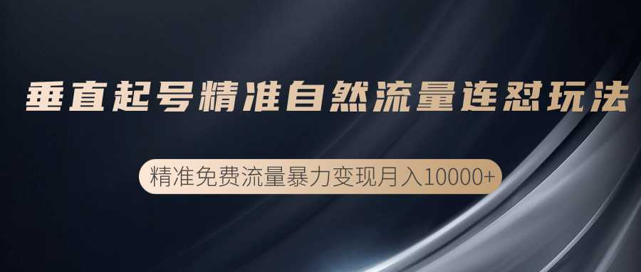 垂直起号精准自然流量连爆玩法,精准引流暴力变现月入10000+-网创资源大全