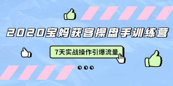 图片[1]-2020宝妈获客操盘手训练营：7天实战操作引爆 母婴、都市、购物宝妈流量-网创资源大全