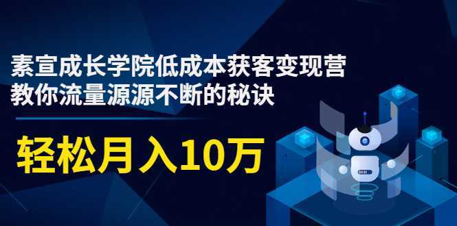 素宣成长学院低成本获客变现营,教你流量源源不断的秘诀,轻松月入10万-网创资源大全