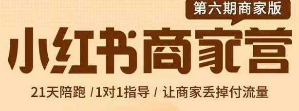 贾真-小红书商家营第6期商家版,21天带货陪跑课,让商家丢掉付流量-网创资源大全