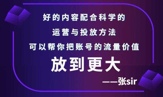 张sir账号流量增长课,告别海王流量,让你的流量更精准-网创资源大全