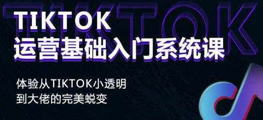 视频号批量引流,霸屏行业关键词(基础班)全面系统讲解视频号玩法-网创资源大全