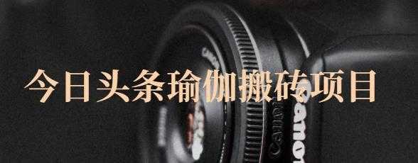 猎人社区·今日头条瑜伽搬砖项目,单号一天几十收入,可以批量操作!-网创资源大全