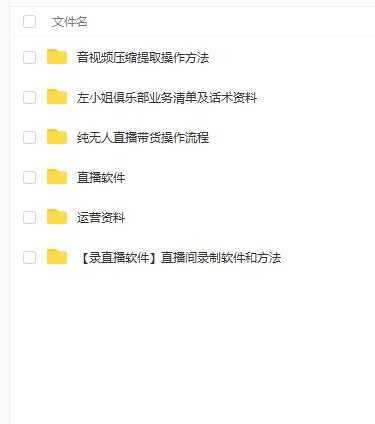 左小姐-直播带货俱乐部十三行、无人直播,全套教程附:工具、文档、话术资料-网创资源大全