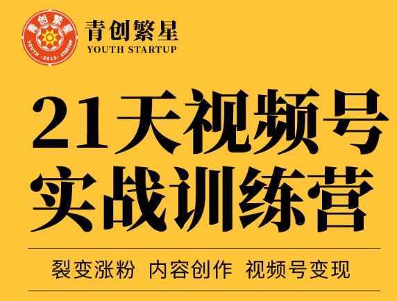 张萌21天视频号实战训练营,裂变涨粉、内容创作、视频号变现 价值298元-网创资源大全