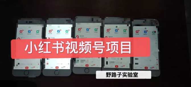 野路子小红书视频号1.0项目，直接上手操作就能赚钱的视频号项目-网创资源大全