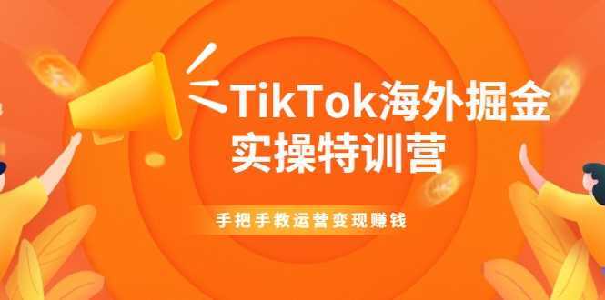 TikTok海外掘金实操特训营：手把手教运营变现赚钱-网创资源大全