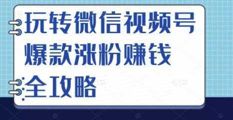 玩转微信视频号爆款涨粉赚钱全攻略，让你快速抓住流量风口，收获红利财富-网创资源大全