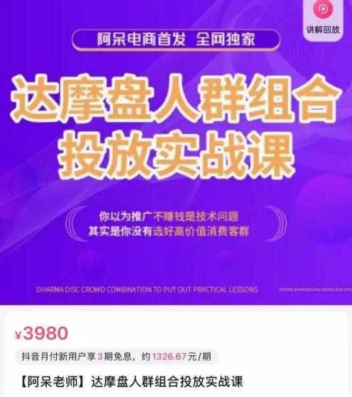 阿呆电商·达摩盘人群组合投放实战课,你以为推广不赚钱是技术问题,其实是你没有选好高价值消费客群-网创资源大全