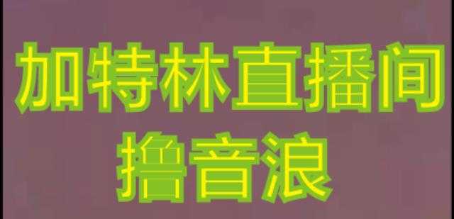 图片[1]-抖音加特林直播间搭建技术，抖音0粉开播，暴力撸音浪，2023新口子，每天800+【素材+详细教程】-网创资源大全