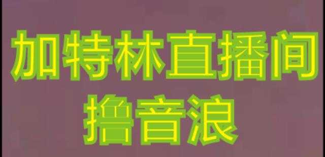 抖音加特林直播间搭建技术,抖音0粉开播,暴力撸音浪,2023新口子,每天800+【素材+详细教程】-网创资源大全