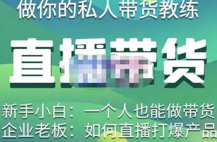 硬核传媒·直播带货(私人教练),实操实战教学,通俗易懂,学完后新手小白一个人也能做带货-网创资源大全