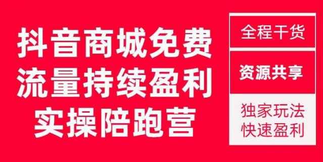 抖音商城搜索持续盈利陪跑成长营，抖音商城搜索从0-1、从1到10的全面解决方案-网创资源大全
