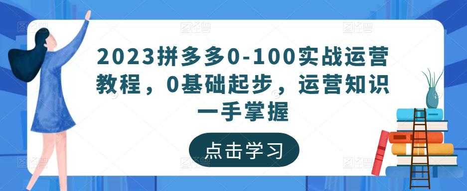 2023拼多多0-100实战运营教程,0基础起步,运营知识一手掌握-网创资源大全