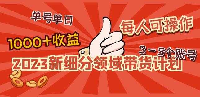 2023新细分领域带货计划:单号单日1000+收益不难,每人可操作3-5个账号-网创资源大全