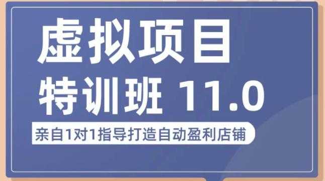 陆明明·虚拟项目特训班(10.0+11.0),0成本获取虚拟素材,0基础打造自动盈利店铺-网创资源大全