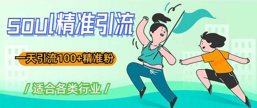 soul精准引流系列课程,一天引流100+精准粉,适合各类行业-网创资源大全