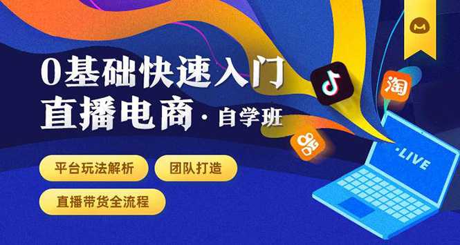 0基础快速入门直播电商课程:直播平台玩法解析-团队打造-带货全流程等环节-网创资源大全
