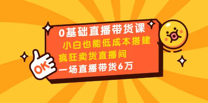 0基础直播带货课：小白也能低成本搭建疯狂卖货直播间：1场直播带货6万-网创资源大全