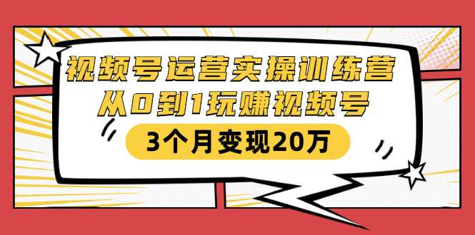视频号运营实操训练营：从0到1玩赚视频号，3个月变现20万-网创资源大全