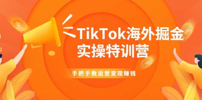 TikTok海外掘金实操特训营：手把手教运营变现赚钱-网创资源大全
