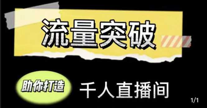直播运营实战视频课,助你打造千人直播间(14节视频课)-网创资源大全
