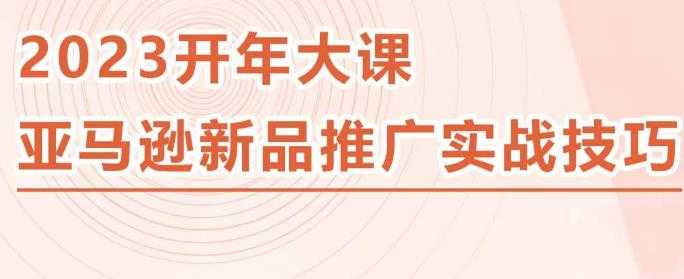 2023亚马逊新品推广实战技巧，线下百万美金课程的精简版，简单粗暴可复制，实操性强的推广手段-网创资源大全