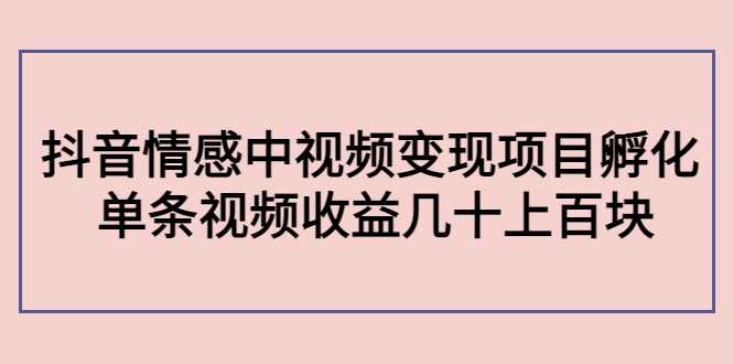 副业孵化营第5期:抖音情感中视频变现项目孵化 单条视频收益几十上百-网创资源大全
