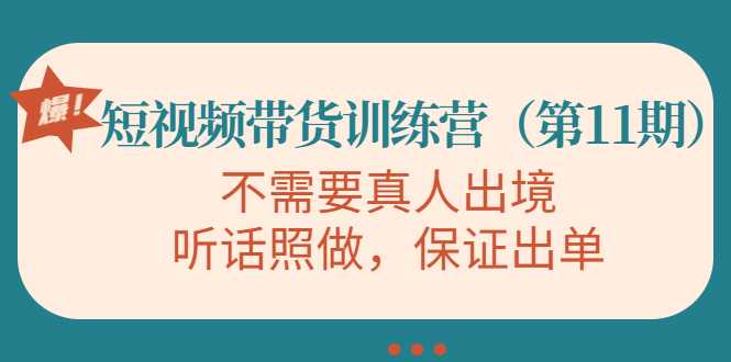 视频带货训练营,不需要真人出境,听话照做,保证出单(第11期)-网创资源大全