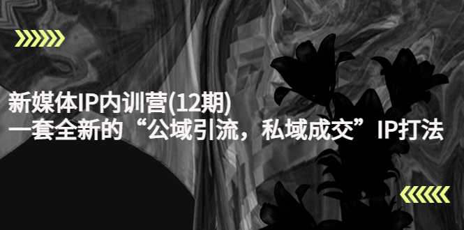 新媒体IP内训营(12期),一套全新的“公域引流,私域成交”IP打法,直接带走-网创资源大全