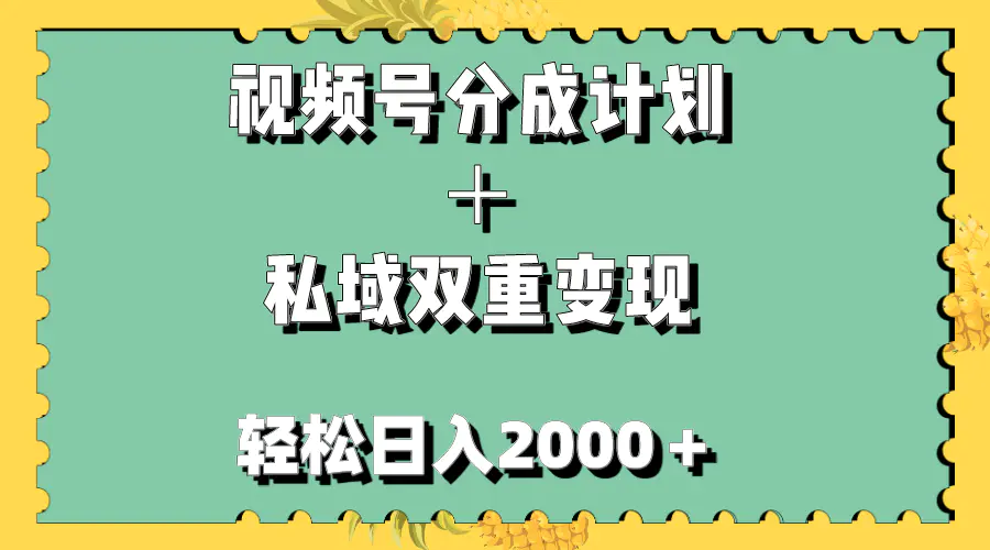 （7842期）视频号分成计划＋私域双重变现，轻松日入1000＋，无任何门槛，小白轻松上手插图