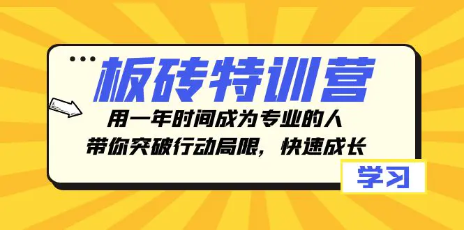 （8048期）板砖特训营，用一年时间成为专业的人，带你突破行动局限，快速成长插图