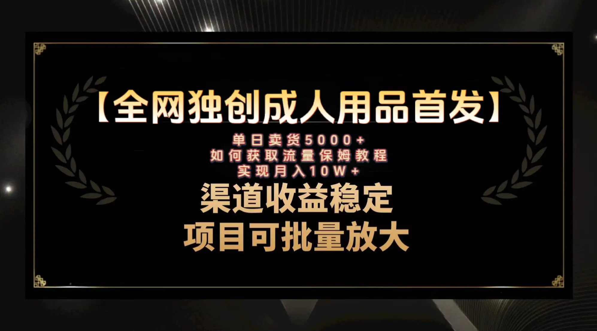 （8128期）最新全网独创首发，成人用品赛道引流获客，月入10w保姆级教程插图