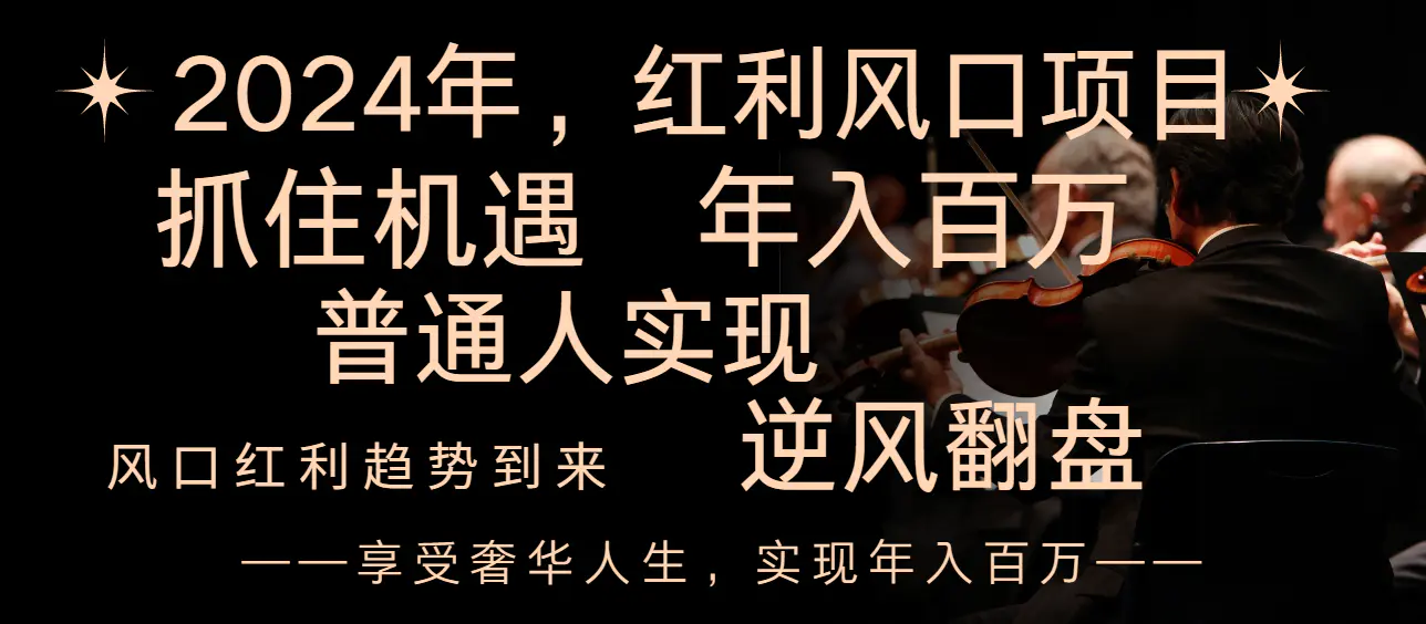 （8418期）2024红利风口项目来袭，享受第一波红利，逆风翻盘普通人也能实现，年入百万插图