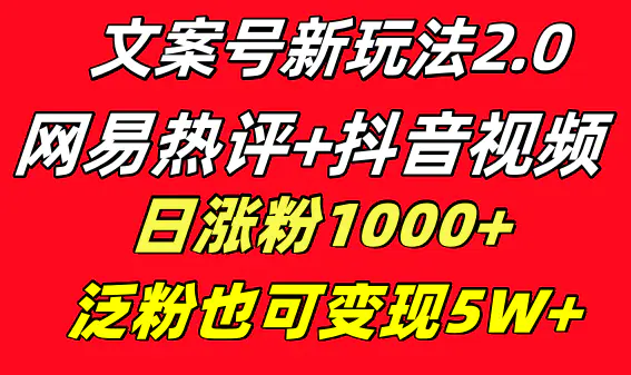 （8484期）文案号新玩法 网易热评+抖音文案 一天涨粉1000+ 多种变现模式 泛粉也可变现插图