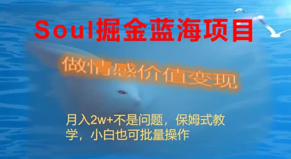 （8531期）Soul掘金蓝海项目细分赛道，做情感价值变现，月入2w+不是问题插图