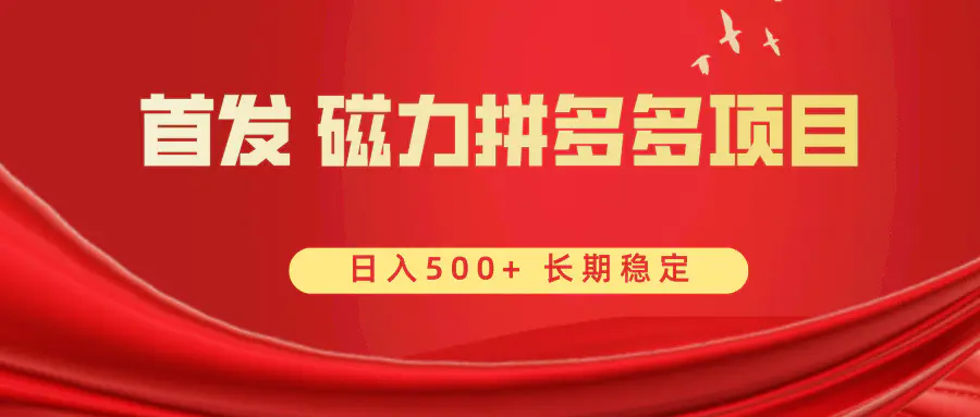 （8611期）首发 磁力拼多多自撸  日入500+插图