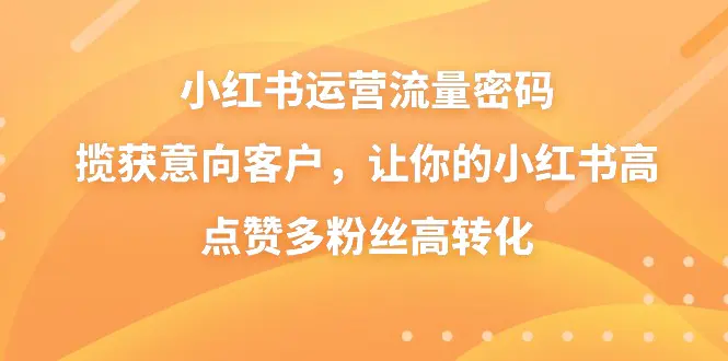 （8764期）小红书运营流量密码，揽获意向客户，让你的小红书高点赞多粉丝高转化插图