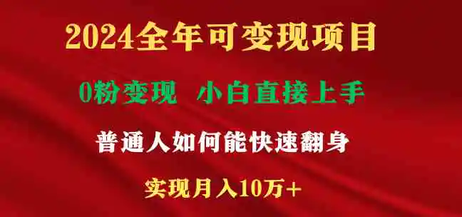 （9045期）2024全年可变现项目，一天收益至少2000+，小白上手快，普通人就要利用互…插图