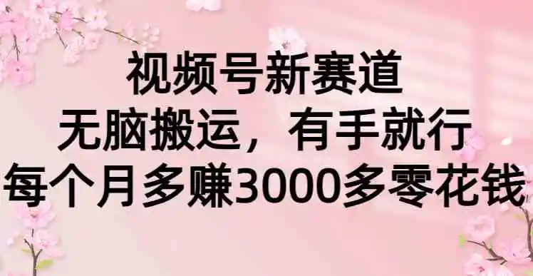 （9277期）视频号新赛道，无脑搬运，有手就行，每个月多赚3000多零花钱插图